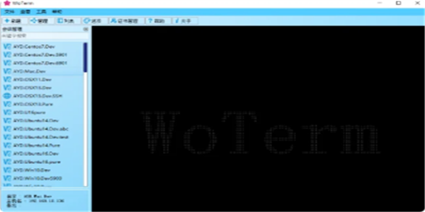 Woterm运行截图