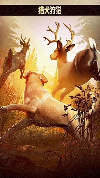 ��������¹�˼���� ���°汾