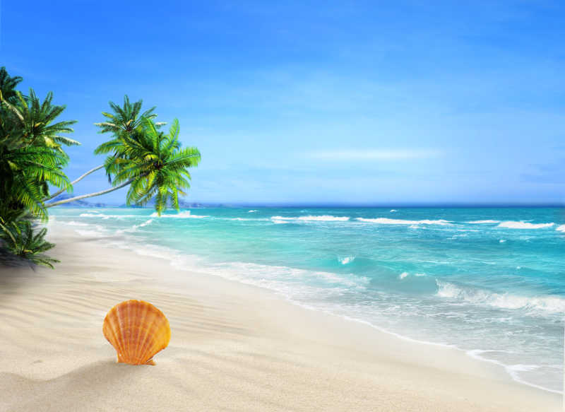 度假寻奇:夏威夷海滩 pc版运行截图