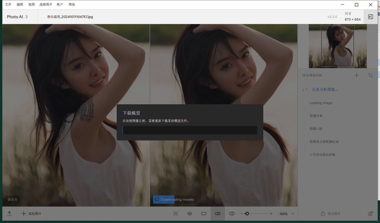 Topaz Photo AI 3.3.2中文激活版运行截图