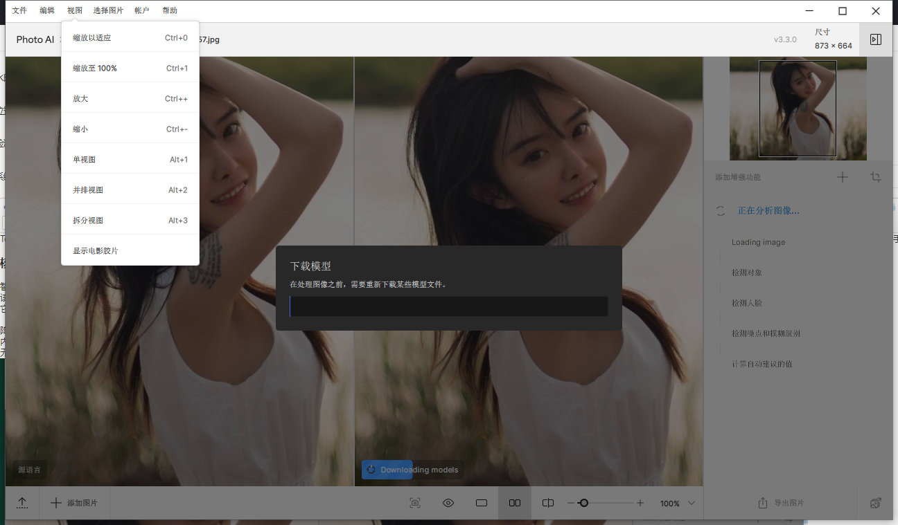 Topaz Photo AI 3.3.2中文激活版运行截图