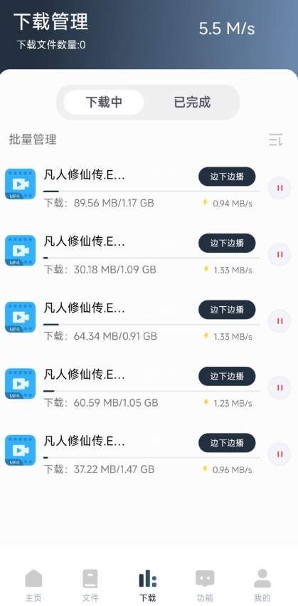 薄荷下载运行截图