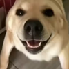 �󹷽�ͼ��