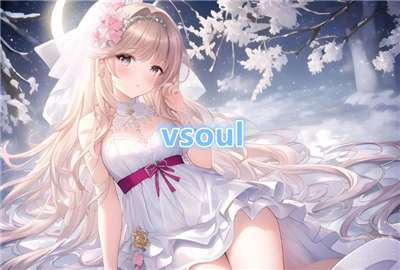 vsoul�ٷ���_vsoul������ذ�װ_vsoul������������