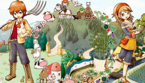 牧场物语双子村 牧场物语双子村