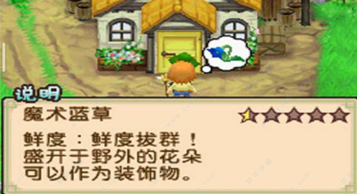 牧场物语双子村 牧场物语双子村