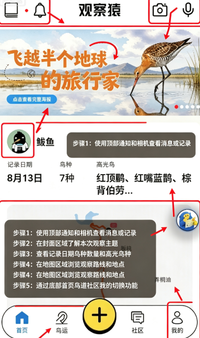 观察猿观鸟同好社区 观察猿观鸟同好社区