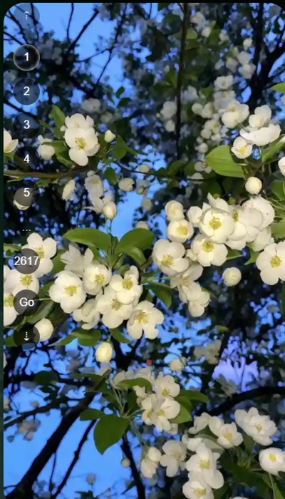 哲风壁纸app下载手机版 哲风壁纸app下载手机版