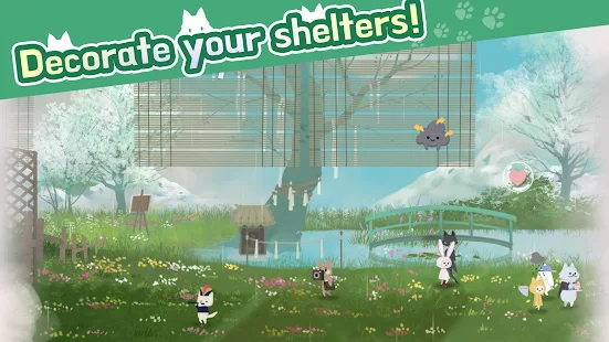 小猫庇护所 pc版运行截图