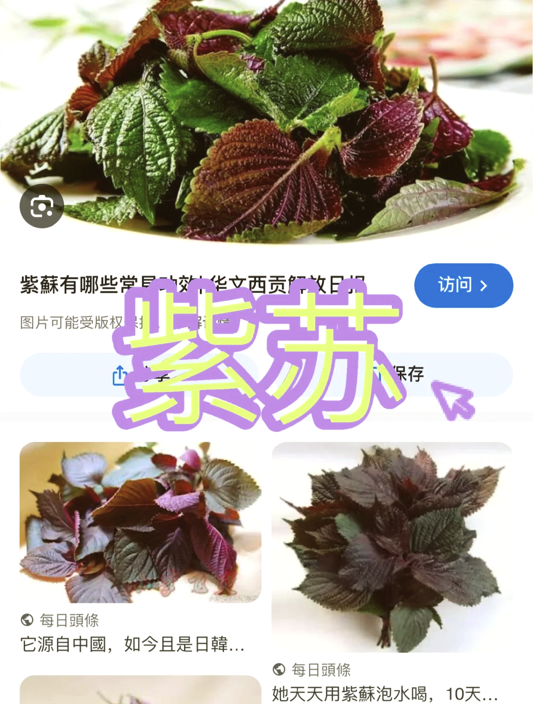 紫苏之叶 pc版 安装步骤 电脑版配置