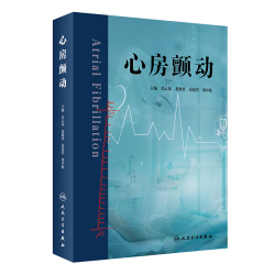 心房颤动PC版 安装教程 中文设置 配图