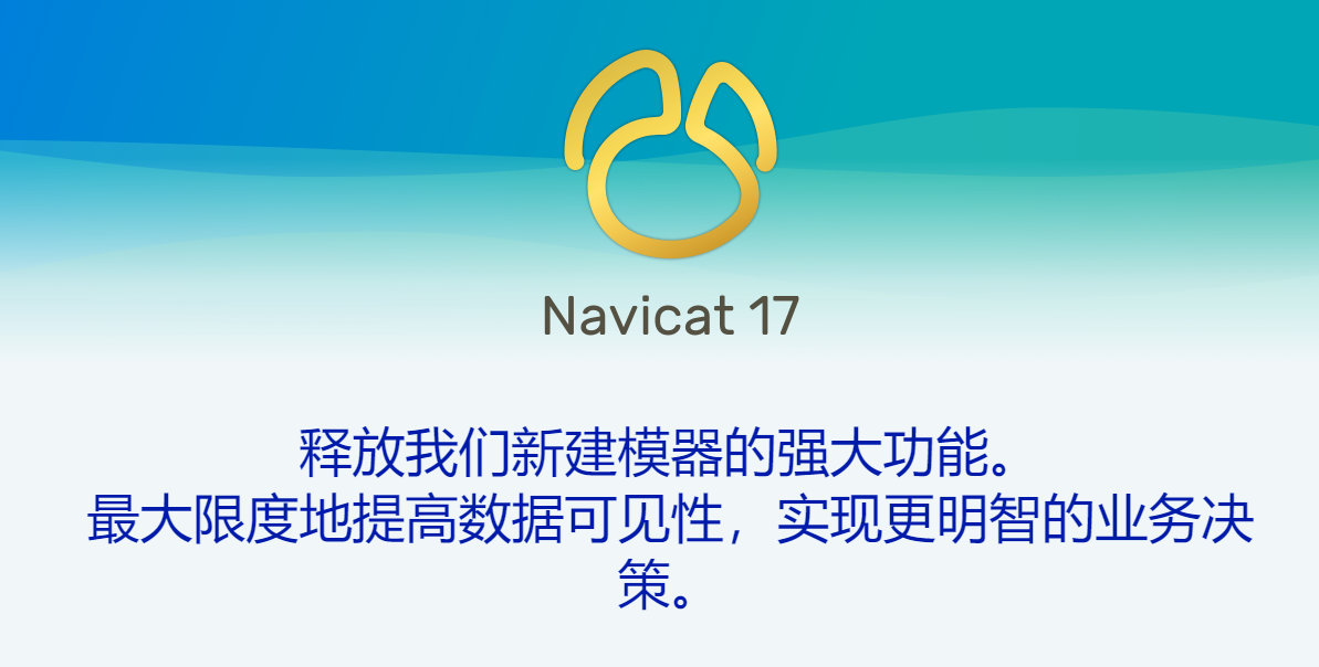 Navicat Premium 17.1.13���������� �����������