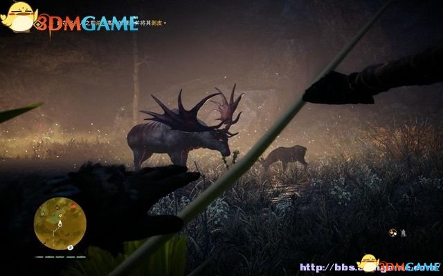 麋鹿猎人 pc版 新手技巧 狩猎体验