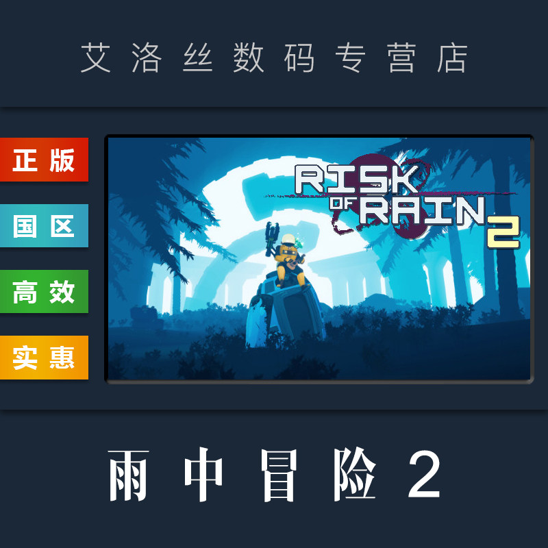 雨中冒险pc版 联机模式 高难度射击游戏