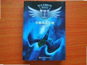 特急天使 配置要求