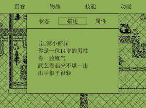 黄金英雄坛说电脑版运行截图