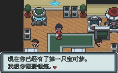 口袋妖怪白 pc版最新版运行截图