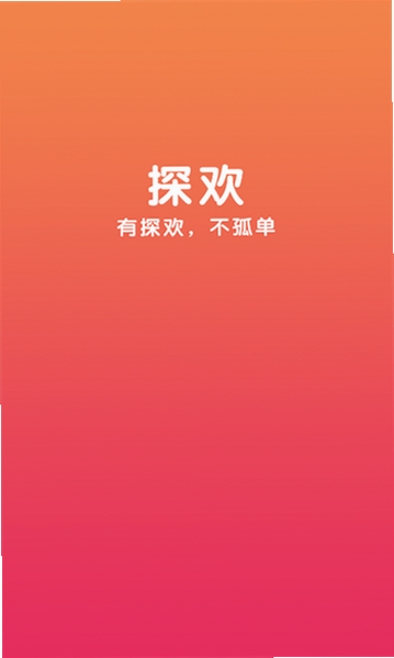探欢运行截图