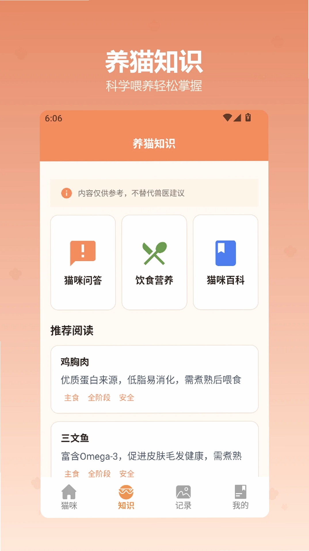 龙猫日记运行截图