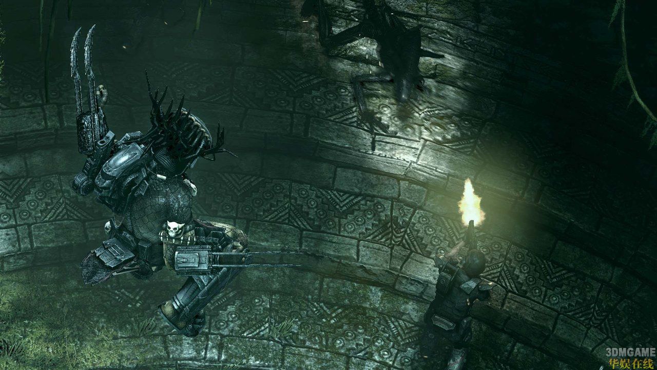 异形大战铁血战士:最初冲突pc版 v1.0正式版+整合全DLC