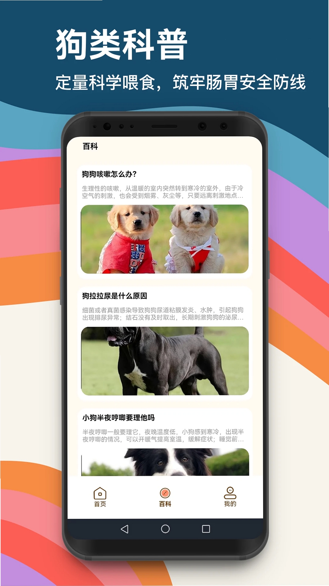 忠犬乐园运行截图