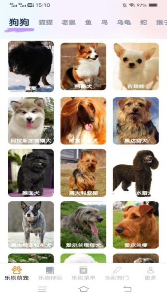 风云乐刷 软件界面截图