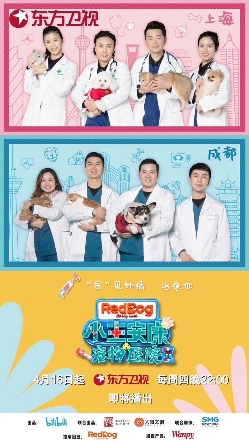 宠物医院2:治愈之手 pc版运行截图