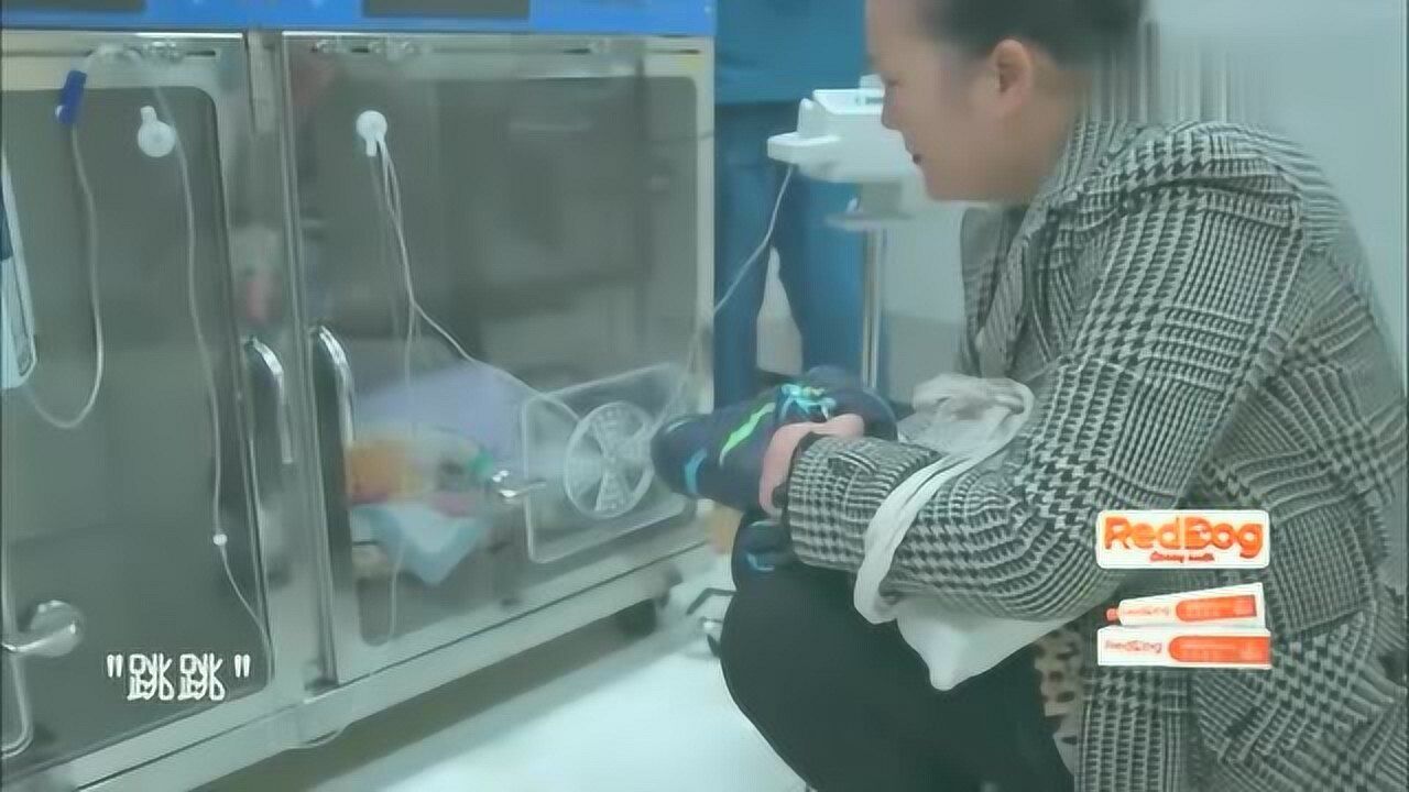 宠物医院2:治愈之手 pc版运行截图
