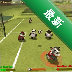 疯狂踢球者pc版