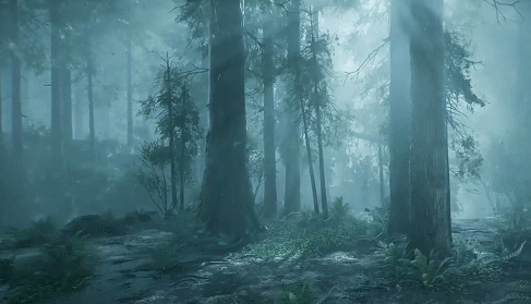 林中迷雾The Woods pc版运行截图