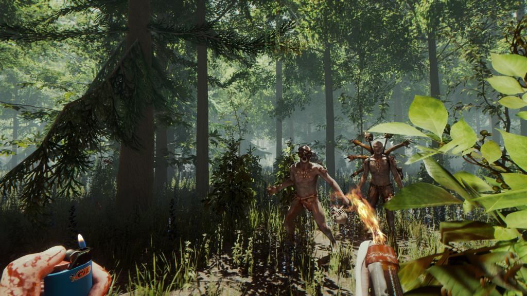 森林The Forest pc版运行截图