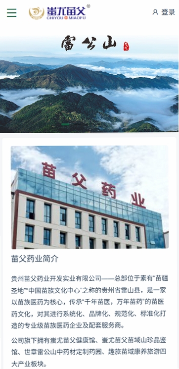 蚩尤苗父运行截图