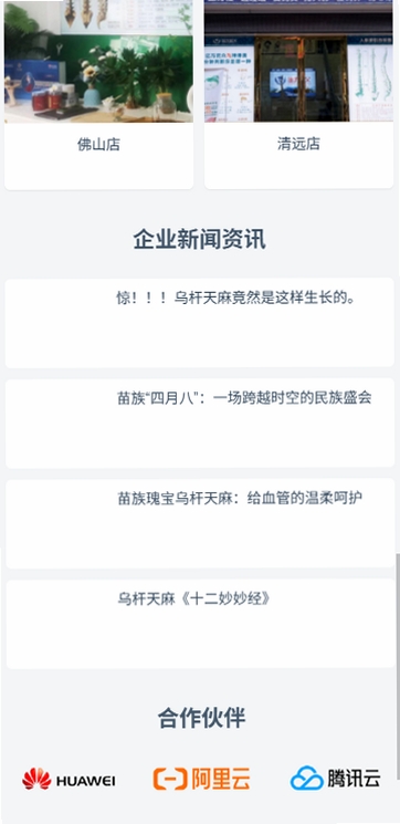 蚩尤苗父运行截图