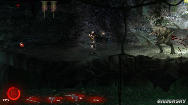 赖安布莱克pc版运行截图