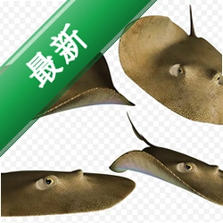 刺鳐游戏国际服电脑版v3.2.6 正式版