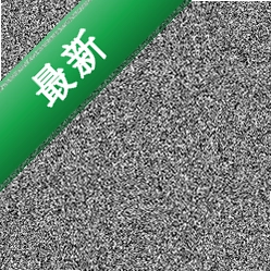 迷失在寂静之中 pc版v1.0正式版