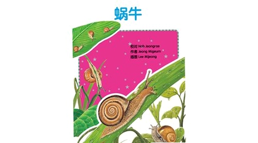 蜗牛阶梯输入运行截图