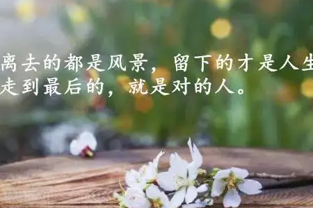缘陌 人生感悟 看淡 缘分