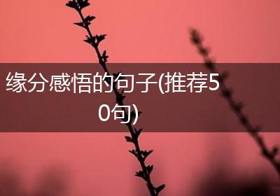 缘陌 文章 结尾 感悟