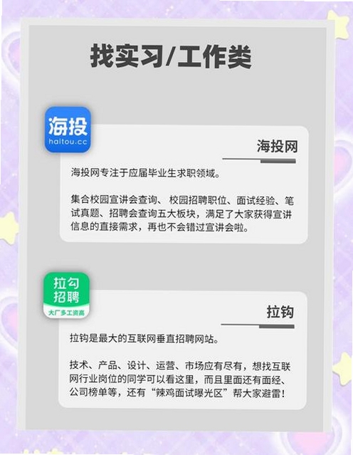 乙才甲聘运行截图