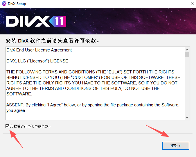 DivX 11中文免费版运行截图