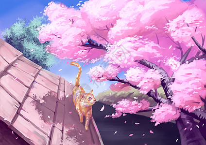 樱花猫 逆光 剪影 氛围感照片