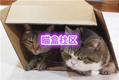 瞄盒社区_瞄盒软件库_喵盒社区下载安装