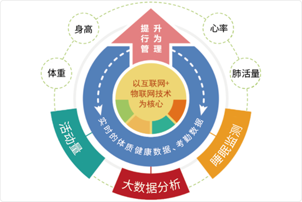 KM健康管理改善体质的核心方法总览