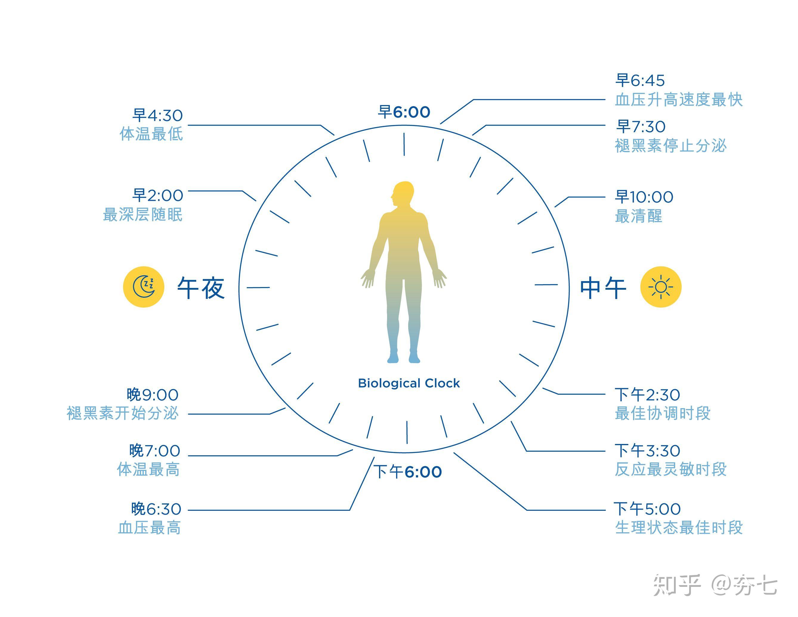 KM健康作息时间表改善睡眠质量