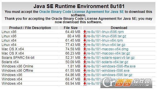 Java SE Runtime(jre8 64λ��)