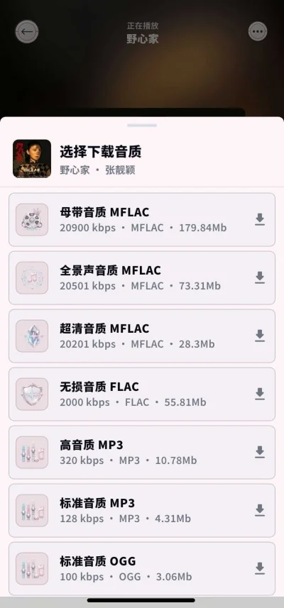 笒音音乐app无广告版运行截图
