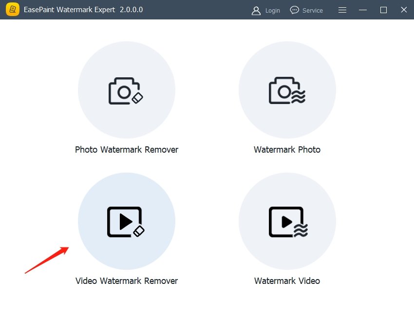 CamRio Watermark Expert去水印软件运行截图