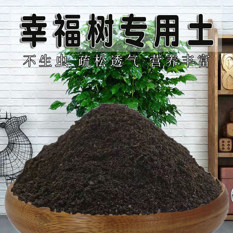 幸福花养殖土壤配土方法