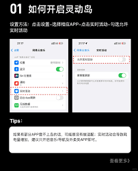 灵动岛pro终身激活版iOS安装步骤图解